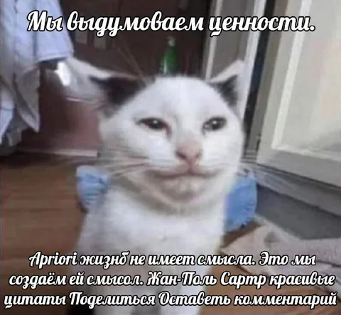 Кот выдумывает смысл жизни