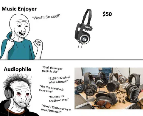 Music Enjoyer vs Audiophile