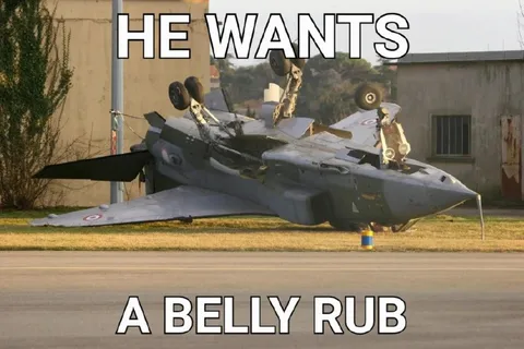 He Wants a Belly Rub
