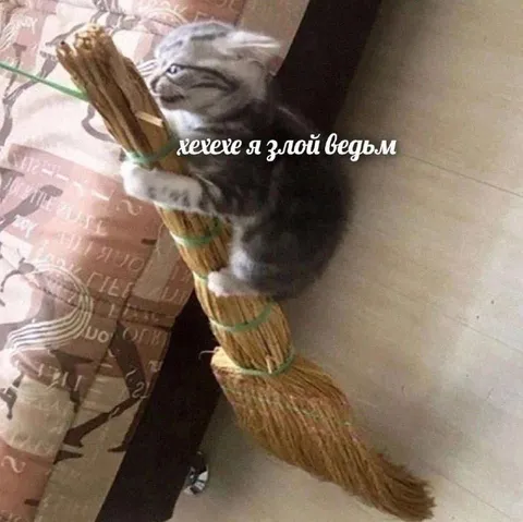Котёнок на метле злой ведьмы