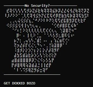 No Security Get Doxxed Bozo