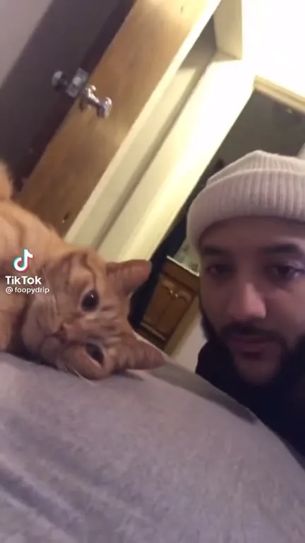 Cat Kiss Reaction Challenge