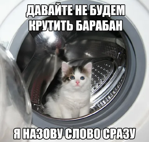 Котёнок в стиральной машине