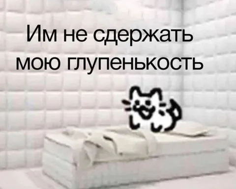 Кот не сдержал глупенькость