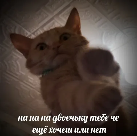 На двоєчку тобі ще хочеш