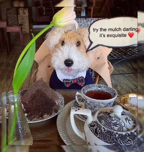 Dog Serves Exquisite Mulch