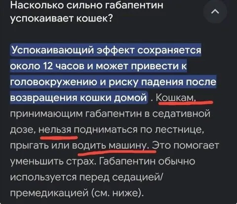 Габапентин для кошек