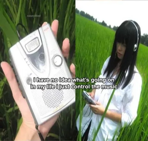 Controlling the Music