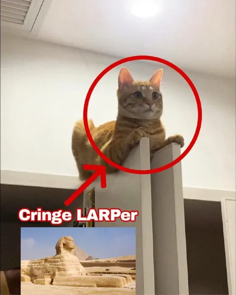 Cringe Sphinx LARPer Cat