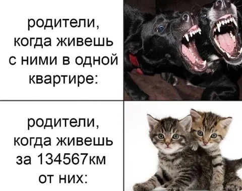 Родители рядом и на расстоянии