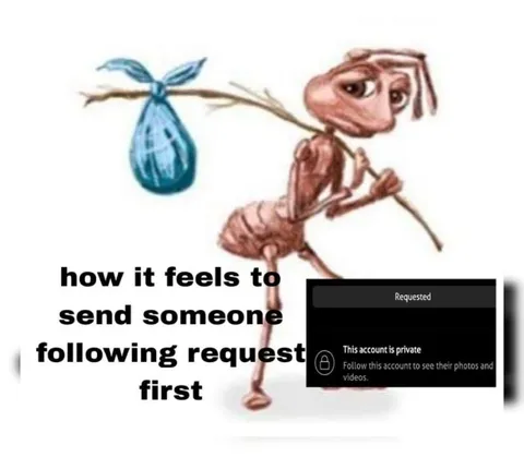 Following Request Before Approval