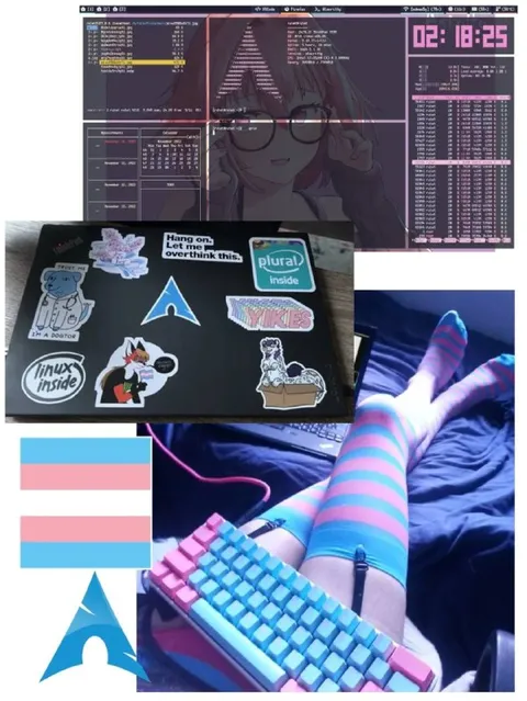 Overthinking Linux Femboy Setup