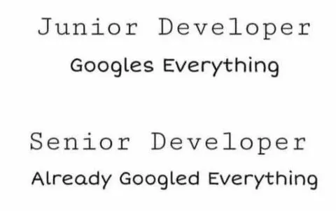 Junior vs Senior Developer Googling