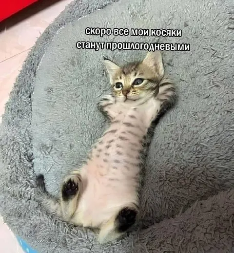 Косяки станут прошлогодними