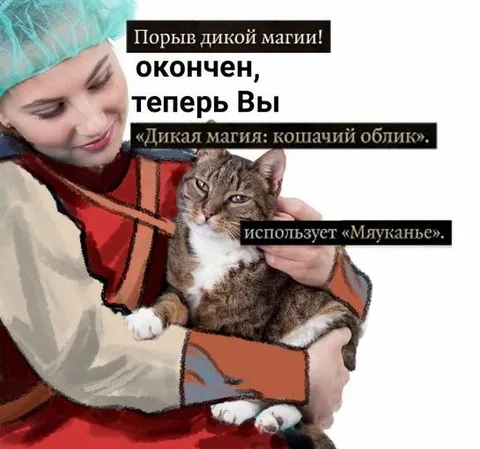 Дикая магия превращает в кота