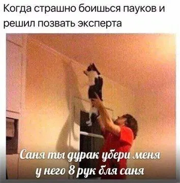 Эксперт по паукам оказался пауком