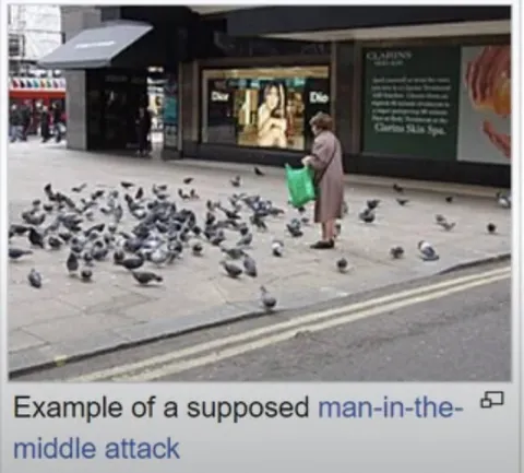 Man-in-the-Middle Pigeon Attack