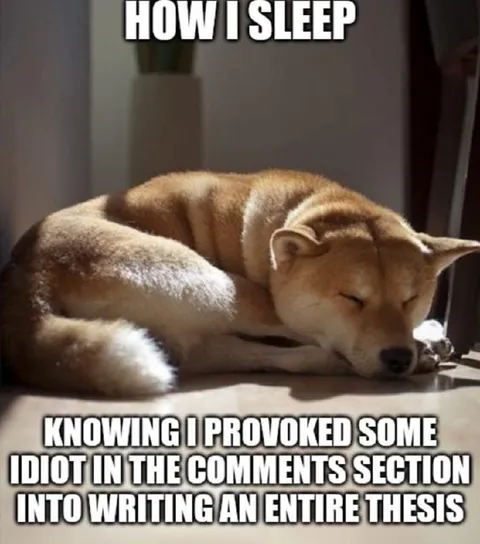 Provoking a Comment Thesis