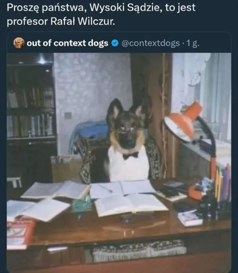 Profesor Rafał Wilczur jako pies