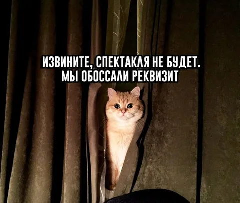 Спектакля не будет