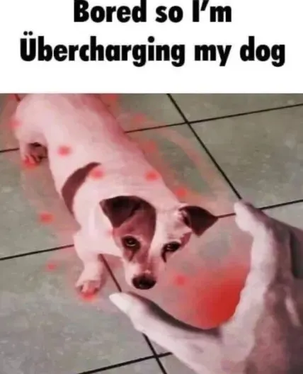 Übercharging My Dog