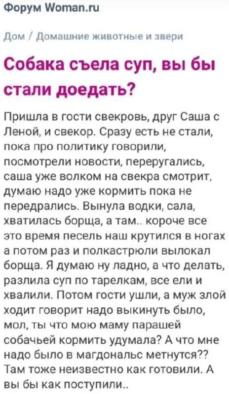 Собака съела суп