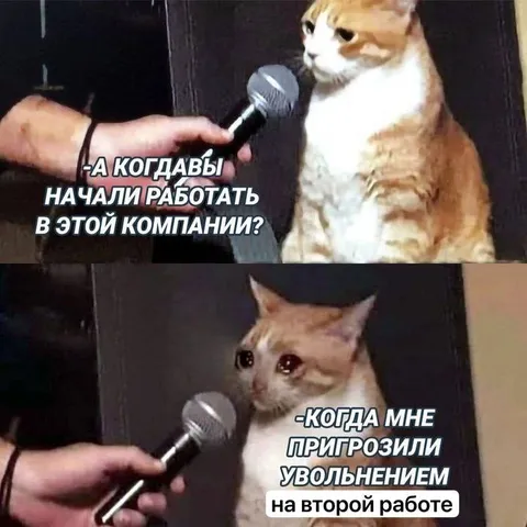 Когда пригрозили увольнением