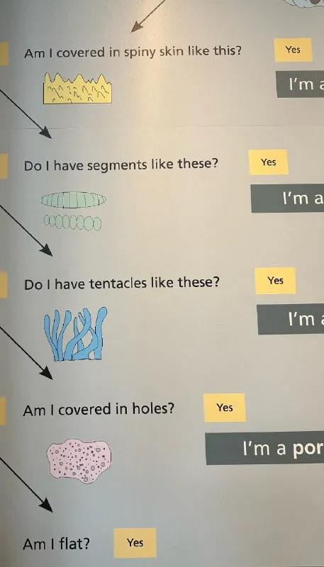 Am I Covered in Holes?