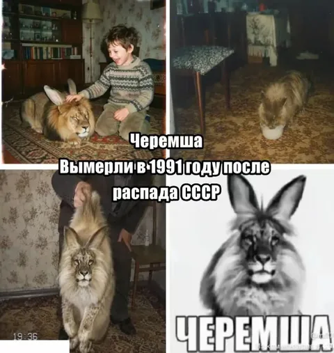 Черемша после распада СССР
