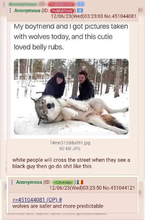 Wolves Are Safer and More Predictable