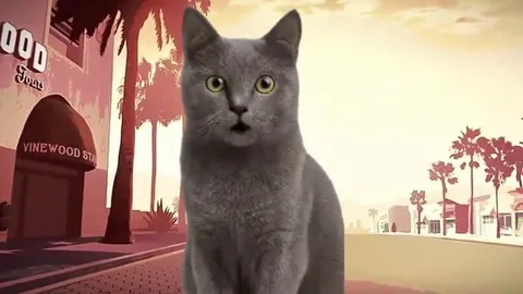 Cats in Los Santos