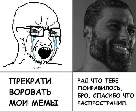 Перестань воровать мои мемы
