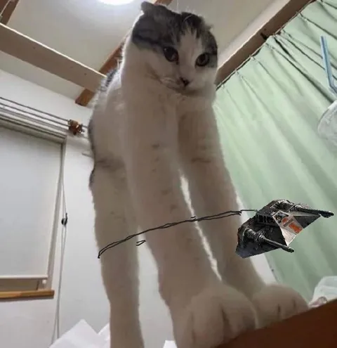 Кот охотится на истребитель