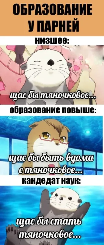 Образование у парней