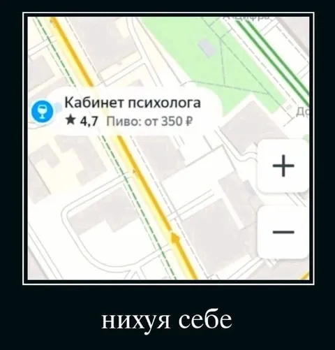 Кабинет психолога с пивом