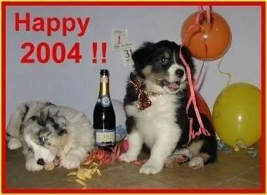 Кот и щенок встречают 2004