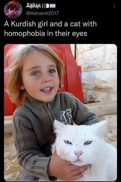 Kurdish Girl and Homophobic Cat