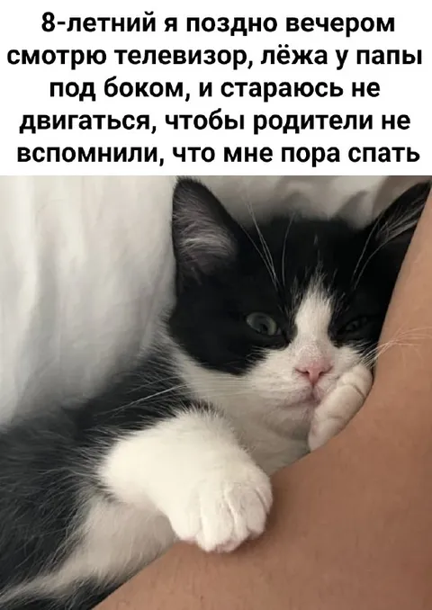 Восемь лет смотрю телевизор