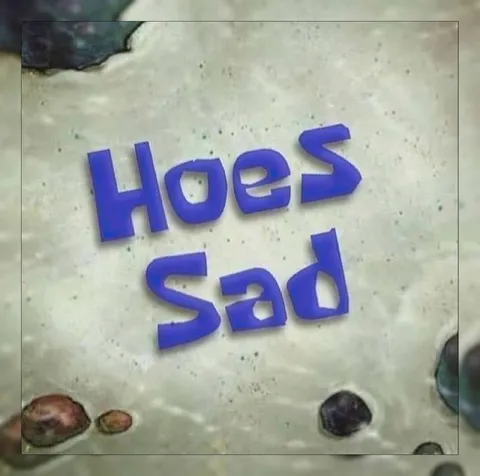 Hoes Sad Sign