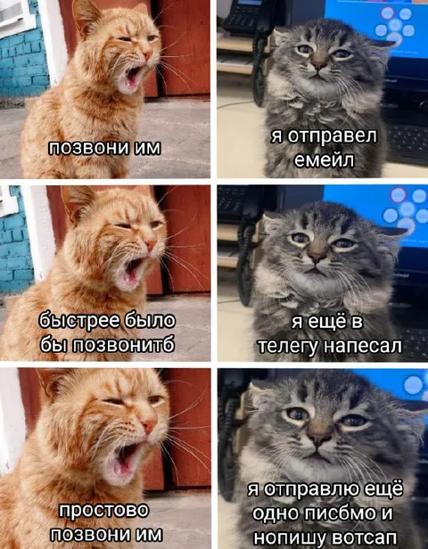 Позвони им, а не пиши