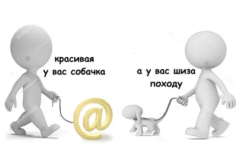 Красивая собачка и шиза