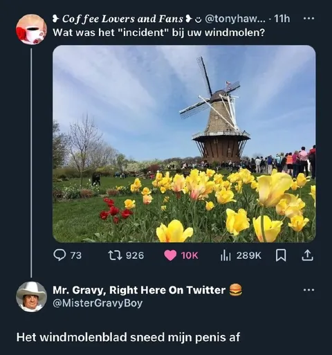 Het windmolenblad incident