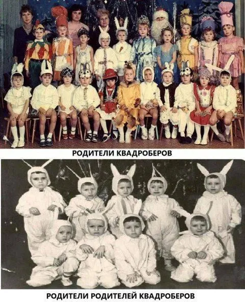 Родители родителей квадроберов