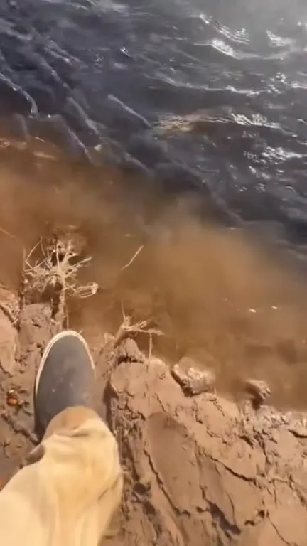 Два улова из мутной воды