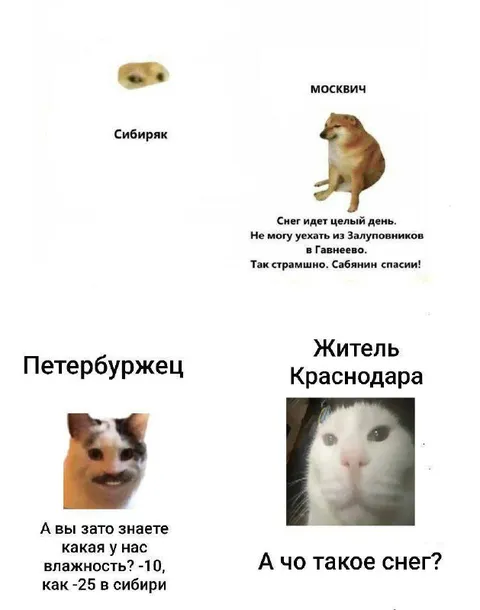 Сибиряк против москвича и южанина