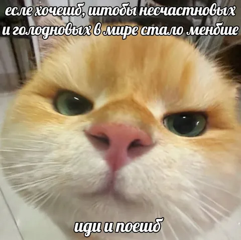 Иди и поешь