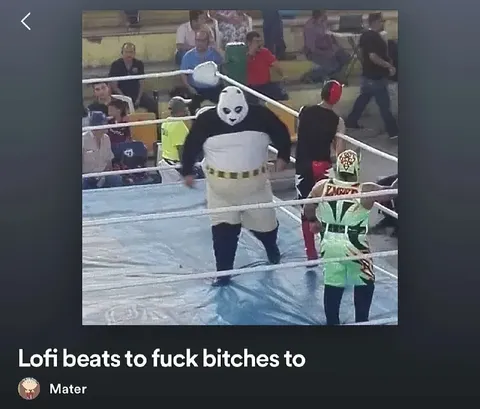 Lofi Beats to Fuck Bitches To