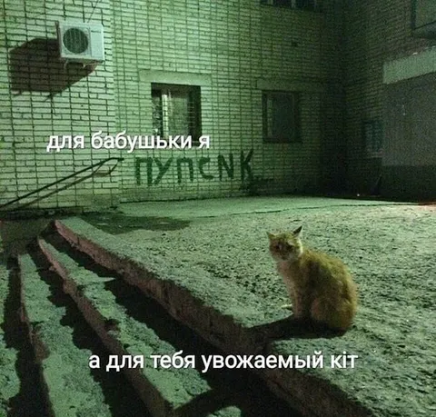Для бабушки я, для тебя кот