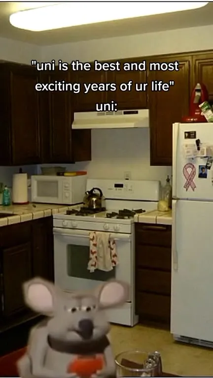Uni Is the Best Years of Your Life