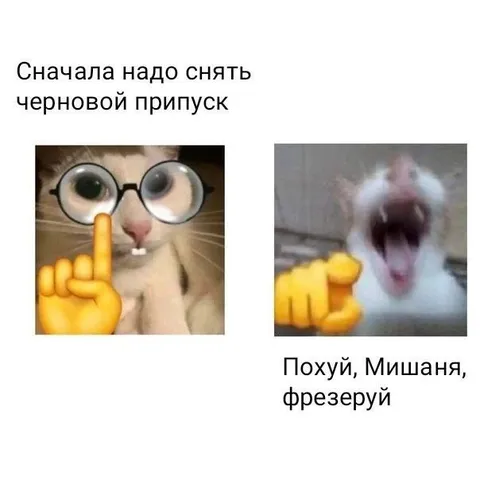 Похуй, Мишаня, фрезеруй